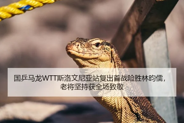 guo-ping-ma-long-si-luo-wen-ni-ya-zhan-fu-chu-shou-zhan-xian-sheng-lin-yun-ru-lao-jiang-jian-chi-huo-quan-chang-zhi-jing-2-545.jpg
