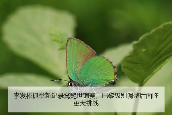 li-fa-bin-zhua-ju-xin-ji-lu-jing-yan-shi-jin-sai-ba-li-ji-bie-tiao-zheng-hou-mian-lin-geng-da-tiao-zhan-2-270.jpg