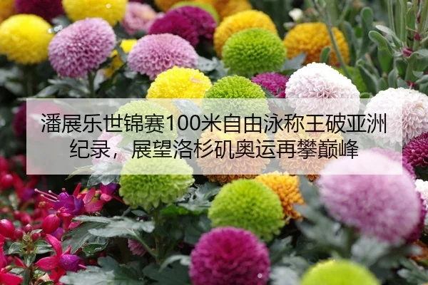 潘展乐世锦赛100米自由泳称王破亚洲纪录，展望洛杉矶奥运再攀巅峰